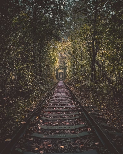 火车铁路在森林里
